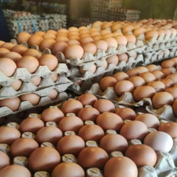 Huevos, papa y plátano, productos que más bajaron de precio en primer trimestre 