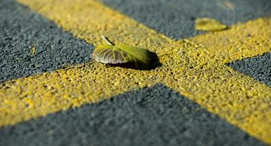 ¿Qué significa la X en las carreteras?
