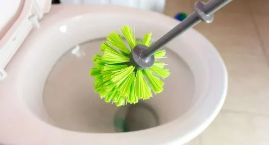 Foto de churrusco, en nota sobre cómo desinfectar el cepillo del inodoro o churrusco.