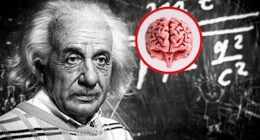 ¿Qué pasó con el cerebro de Einstein cuándo murió?