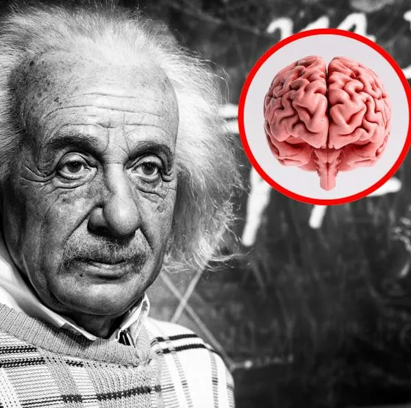 ¿Qué pasó con el cerebro de Einstein cuándo murió?