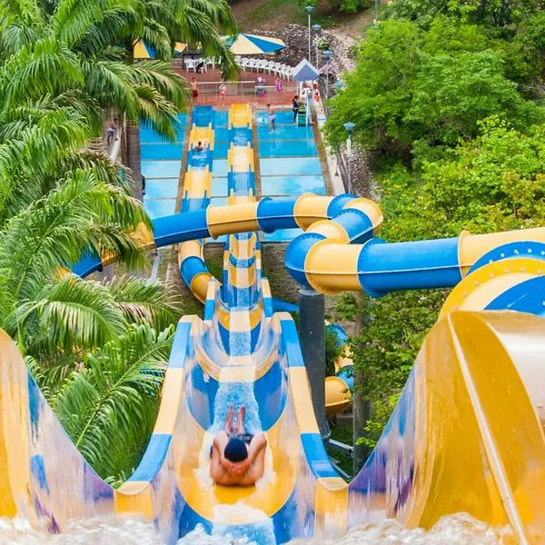 Piscilago anuncia que tendrá cambio esperado y ahora el parque se verá diferente con su imagen. La idea es atraer 1,2 millones de visitantes para 2026. 