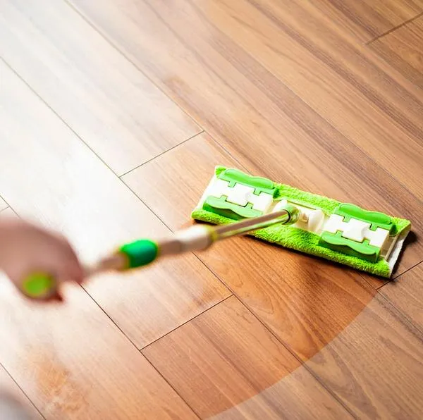 ¿Qué es bueno para eliminar el olor a orina de perro? 