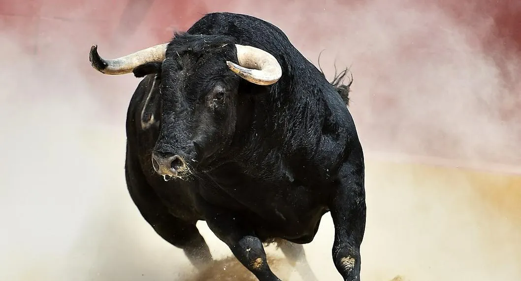 Aprueban prohibición de corridas de toros en Colombia: histórica decisión