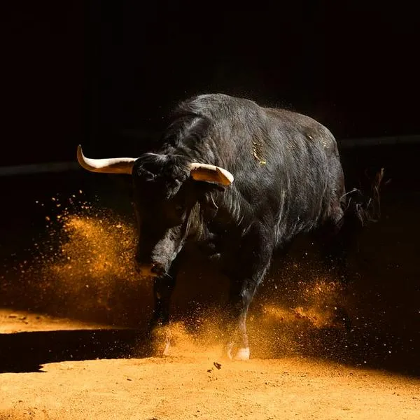 ¿Cuándo se acaban definitivamente las corridas de toros en Colombia?