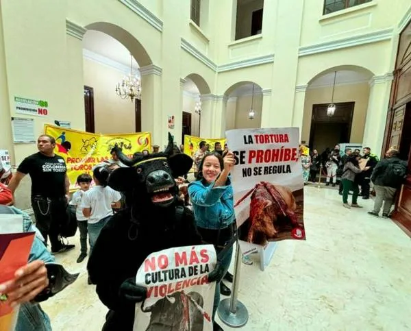 Estocada a las corridas de toros: ¿Qué viene ahora tras la prohibición que aprobó el Congreso?