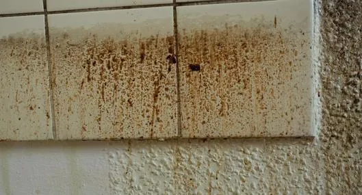image_desktop