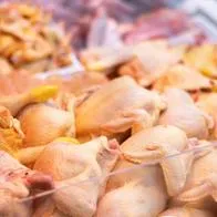 Foto de pollo crudo, en nota sobre precio del pollo hoy en Colombia según Corabastos con pechugas, perniles y alas