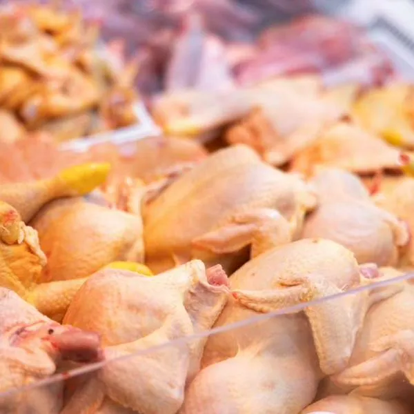 Foto de pollo crudo, en nota sobre precio del pollo hoy en Colombia según Corabastos con pechugas, perniles y alas