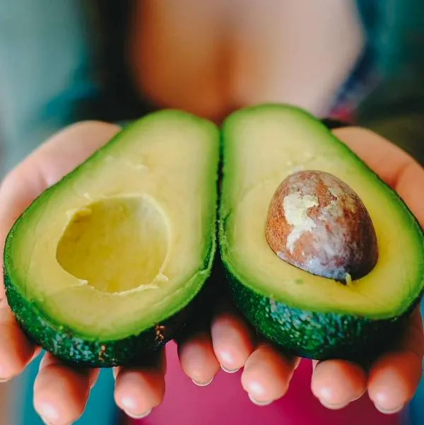 Foto de aguacate, en nota de precio de ese alimento hoy en Colombia por kilo en Corabastos para hacer guacamole