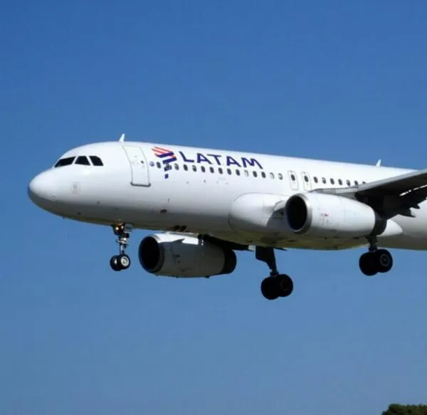 Latam hizo cambios en sus políticas para viajes con mascotas: detalles y qué reglas hay