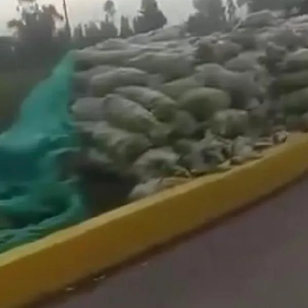 En Boyacá, camión de plátanos se estrelló y los habitantes ayudaron a recuperar la carga