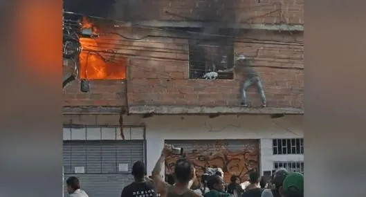 Un hombre en Medellín arriesgó su vida para salvar a cinco gatos de un incendio en el barrio Sevilla de Medellín