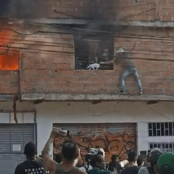Un hombre en Medellín arriesgó su vida para salvar a cinco gatos de un incendio en el barrio Sevilla de Medellín