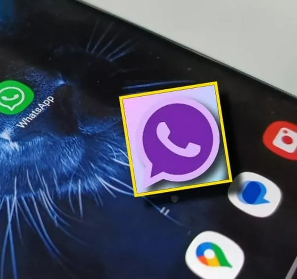 Así puede activar el modo morado de WhatsApp; dijeron a qué se debe dicha característica
