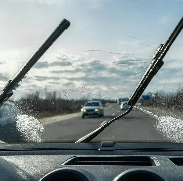 ¿Cómo quitar las manchas de insectos del carro?