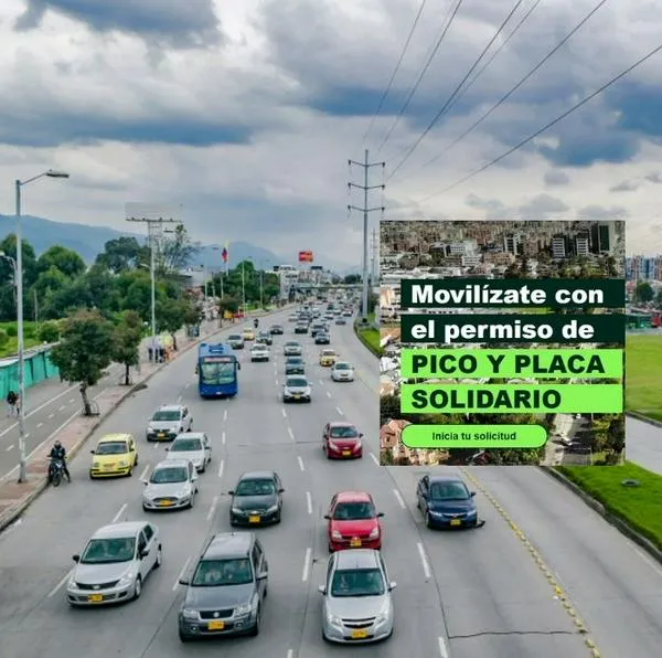 Pico y placa solidario: link para hacer el pago y sacar el permiso para andar