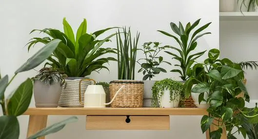 image_desktop