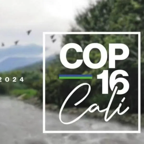 ¿Agenda de la COP16 tiene retrasos? Hablan los organizadores