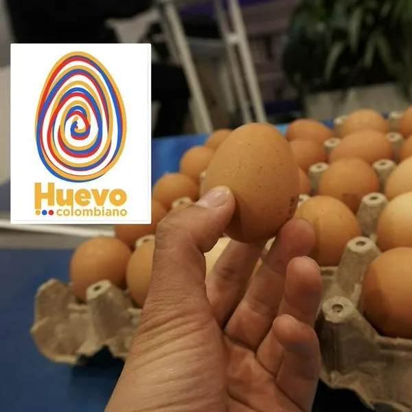 Huevos de Colombia tendrán sello propio