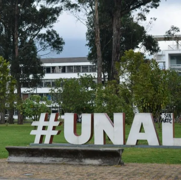 Ismael Peña deja la rectoría de la Universidad Nacional por decisión del CS