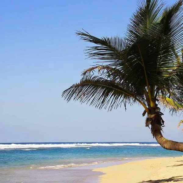Conozca cuánto cuesta viajar a San Andrés, Punta Cana, Aruba o Curazao para junio y julio de 2024 desde Colombia. Acá, los detalles.