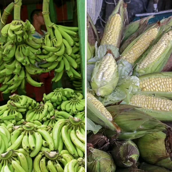 Ministra de Agricultura habla de cómo enfrentar La Niña y más riesgos del agro