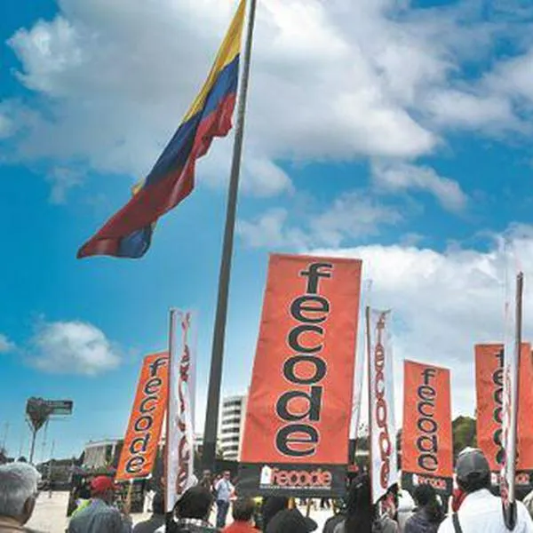 Fecode convoca a un paro nacional de un día en rechazo a la ley estatutaria de educación