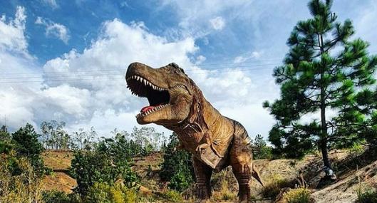 'Jurassic Park' colombiano, en nota sobre dónde queda