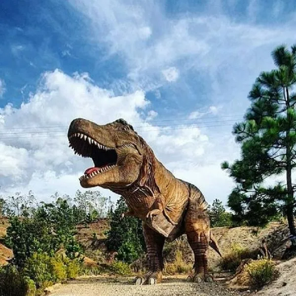 'Jurassic Park' colombiano, en nota sobre dónde queda