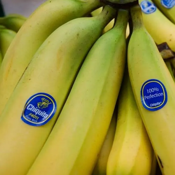 Chiquita Brands apelará veredicto que la declara responsable de financiar el paramilitarismo