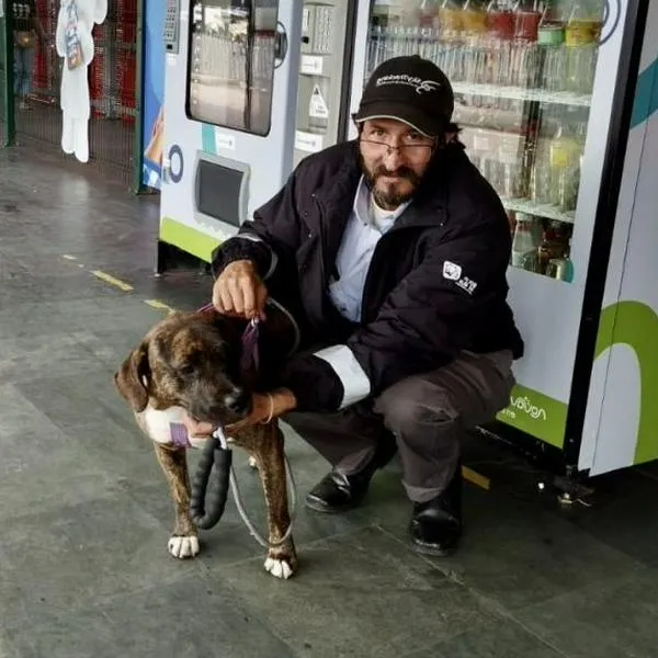 Perrita es adoptada por operador de Transmilenio: la encontraron amarrada en un bus