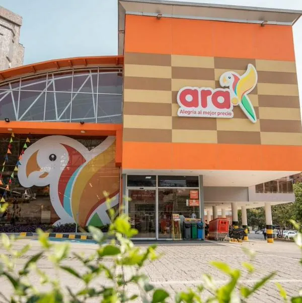 Precios en tiendas Ara: estos son los productos más baratos de cocina a diario