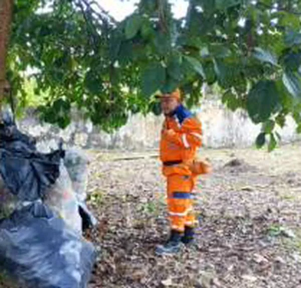 Una persona herida y dos loros muertos tras ataque de abejas en Calarcá