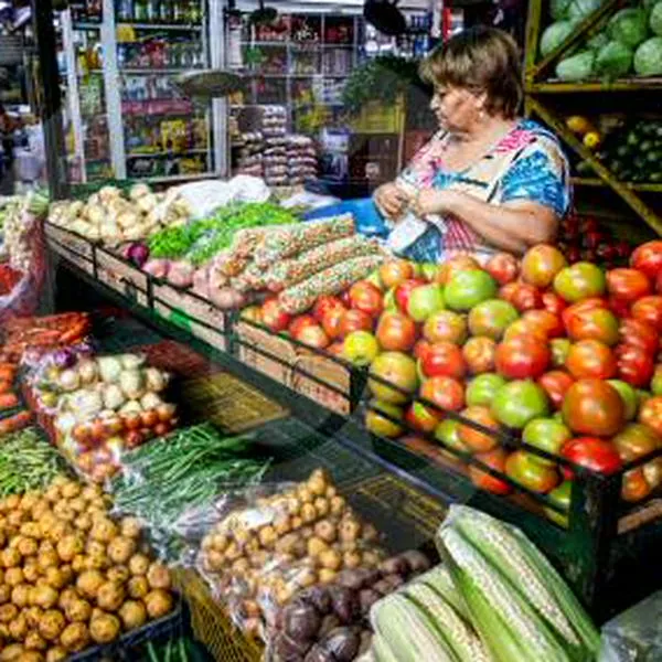 Analistas proyectan que inflación volverá a estancarse este mes y afectará caída de tasas de interés