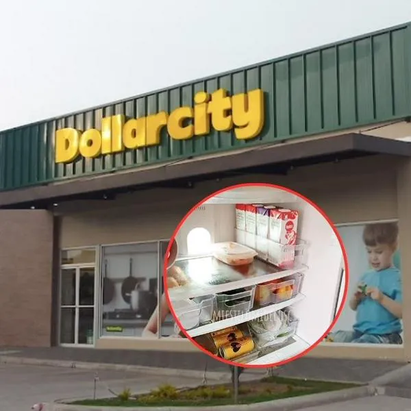 Recipientes de Dollarcity para organizar la nevera a menos de 16.000 pesos: cómo usarlos