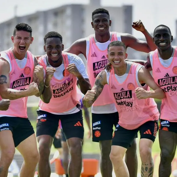 Selección Colombia anunció los dos jugadores que no irán a la Copa América: detalles