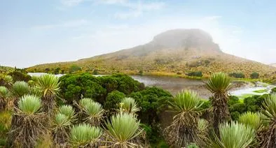 Prohíben a empresas que ofrecían senderismo en Páramo de Sumapaz y Cruz Verde 
