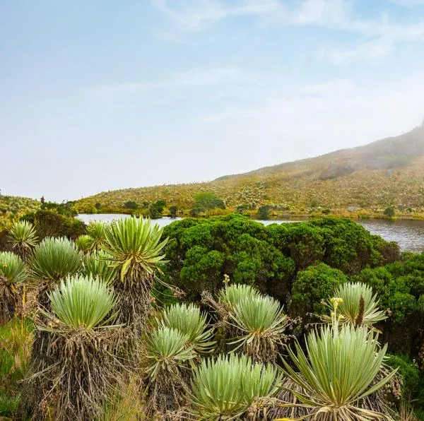 Prohíben a empresas que ofrecían senderismo en Páramo de Sumapaz y Cruz Verde 