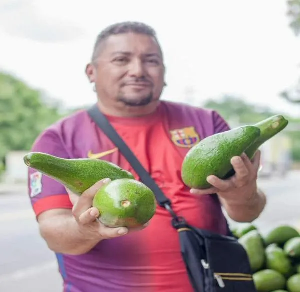 Microcréditos Finagro Para Agricultores Cómo Acceder Y Evitar Gota A