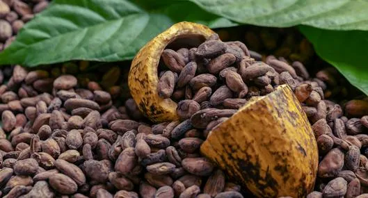Precio del chocolate en Colombia bajará en supermercados por nuevas cosechas