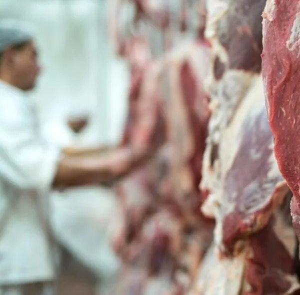 Carne barata en Bogotá: muestran en dónde la compran para pinchos callejeros