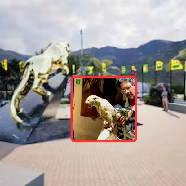 Bucaramanga tendrá una escultura en bronce de un leopardo para celebrar estrella 