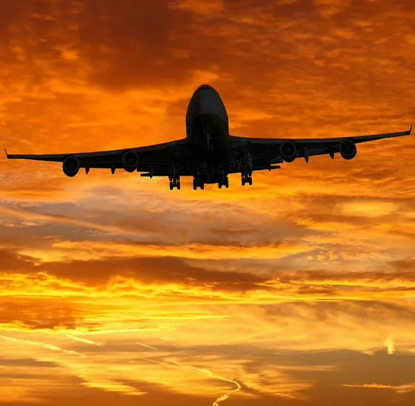 Wingo le da sorpresa a viajaros durante vacaciones de mitad de año: qué es