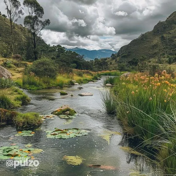 ChatGPT escogió los mejores parques naturales de Boyacá para visitar y llevar a toda la familia. Este departamento se caracteriza por tener paisajes hermosos.
