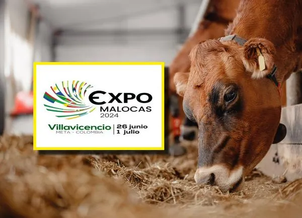 Expomalocas 2024: cuál es la fecha, cronograma y artistas que estarán en evento