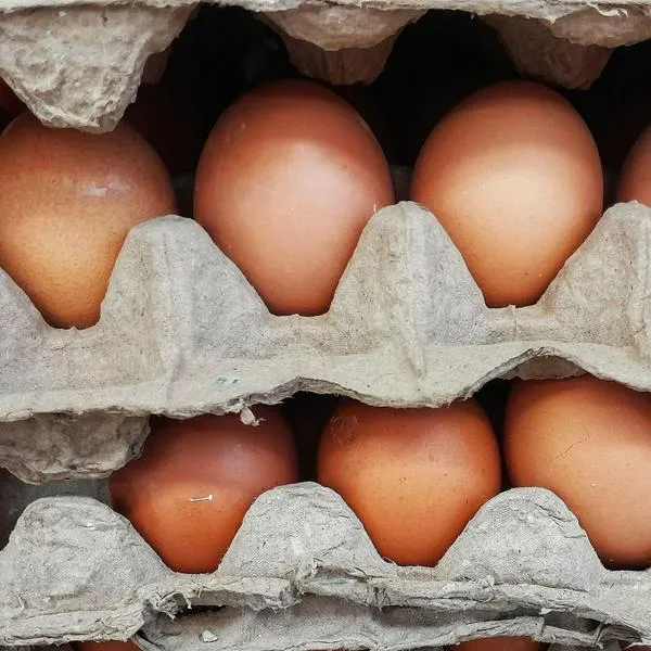 Usar cáscaras de huevo ayuda a que colombianos ahorren plata por sus beneficios