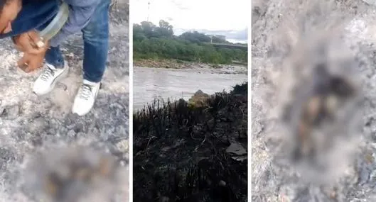 Habitante de calle llorando en Cúcuta luego de que su perra murió en incendio