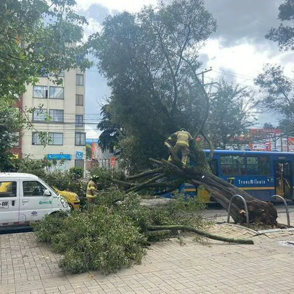 Enorme árbol cayó sobre un Sitp en el norte de Bogotá y ocasionó cierres viales