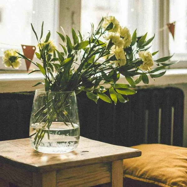 Foto de claveles, en nota de qué flores duran más sin marchitarse: saberlo ayuda a no estar cambiando pronto